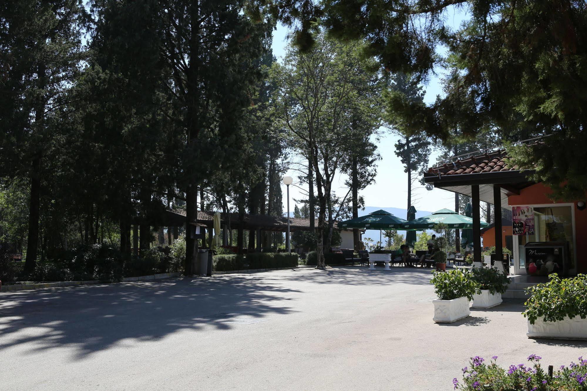 Hotel Park Visici Екстер'єр фото
